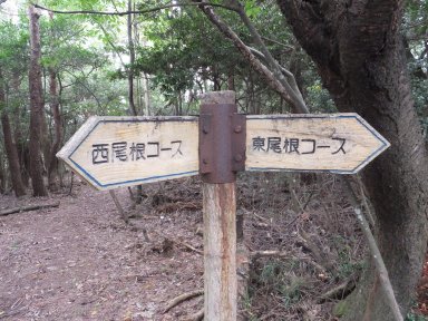 8山頂の標識