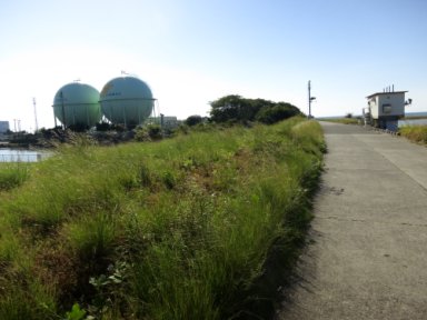 四国ガス敷地内の球形タンク