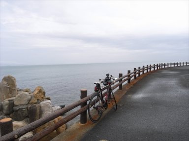 大阪府に残る自然海岸