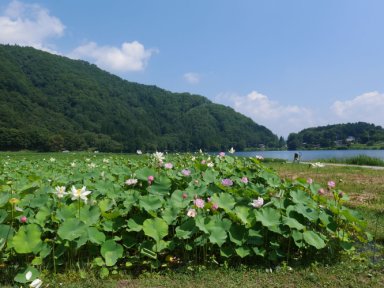 中綱湖