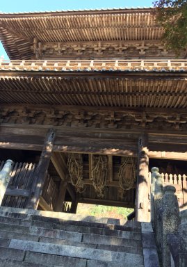 箸蔵寺、仁王門