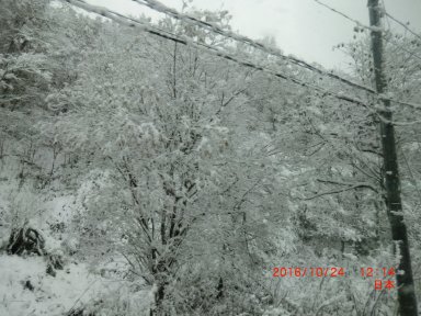 有珠山から支笏湖畔に向かう山道で雪景色