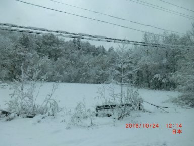 有珠山から支笏湖畔に向かう山道で雪景色