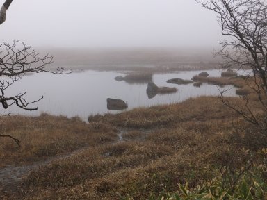 湿原鎌が池