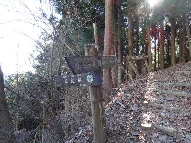 伊豆ヶ岳への道標