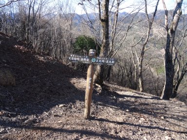伊豆ヶ岳山頂の道標