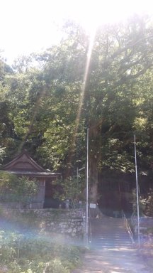 藤田神社