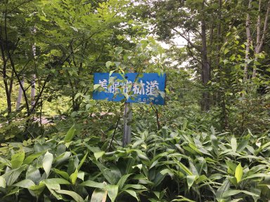 美幌峠林道の道標
