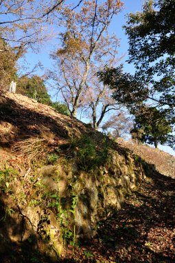 ホオヅキ段の石垣