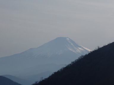 花立からの富士山