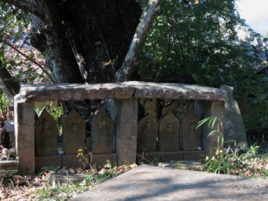菩提樹（盛景寺の奥の裏の入り口近く、六地蔵の後ろ）