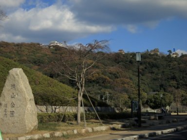 城山公園から見る松山城
