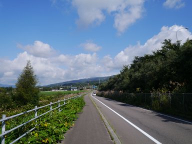 函館新道沿い