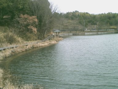 公園の大池