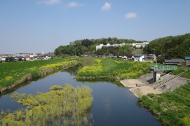 松山城跡手前の市野川