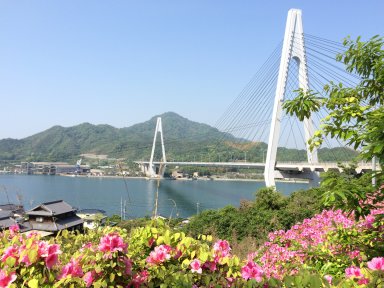 因島から見た生口島橋