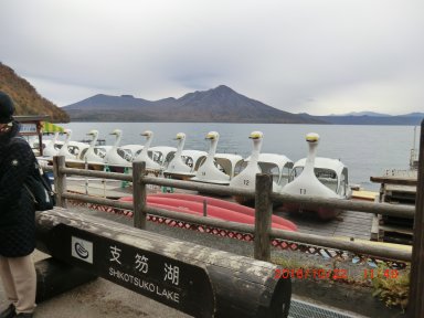 支笏湖のアヒルのボート