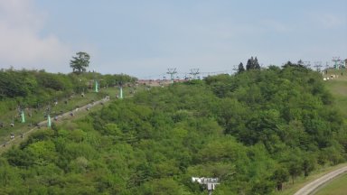 茶臼山：芝桜