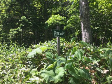 栄左の沢林道の標識