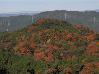 向かいの山の紅葉。