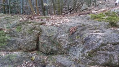 大野川層群独特の岩石
