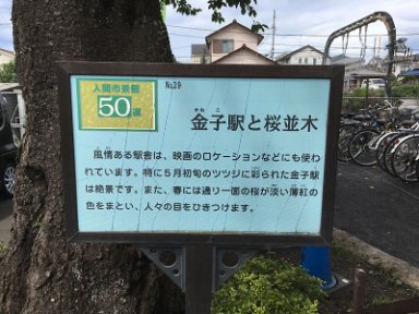 29．金子駅と桜並木