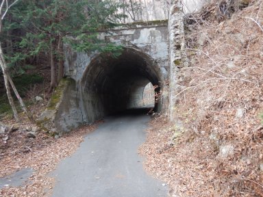 トンネル過ぎたらようやく登山道。