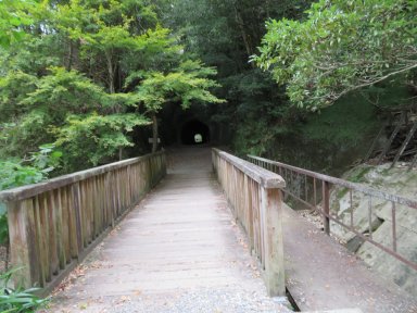 武田尾手前廃線トンネル