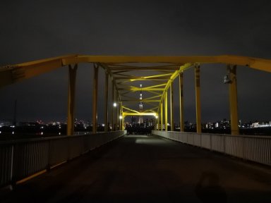 スカイツリー from 東四つ木避難橋