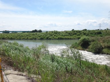 武蔵水路の荒川への合流点