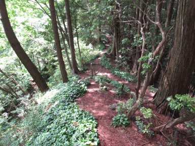 三森神社奥の院への道