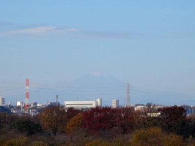 富士山 from 彩湖