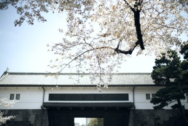 桜田門