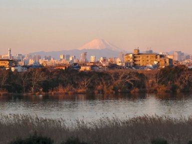 富士山 from 江戸川