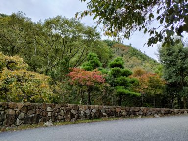 芦屋ゲート付近の紅葉