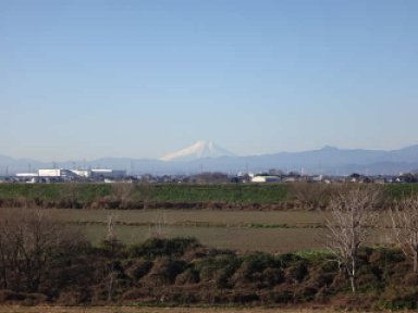 富士山 from 市野川