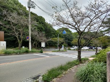 甲山森林公園バス停付近